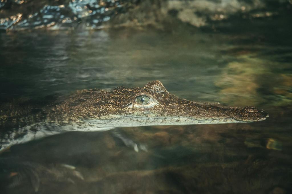 5 Mississippi Stops That Deserve a Detour – State-by-State Travel Guide Part&nbsp;24