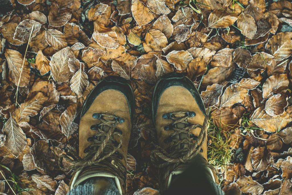 Top 5 Rated Hiking Boots for Women: Comfort, Traction &&nbsp;Waterproof
